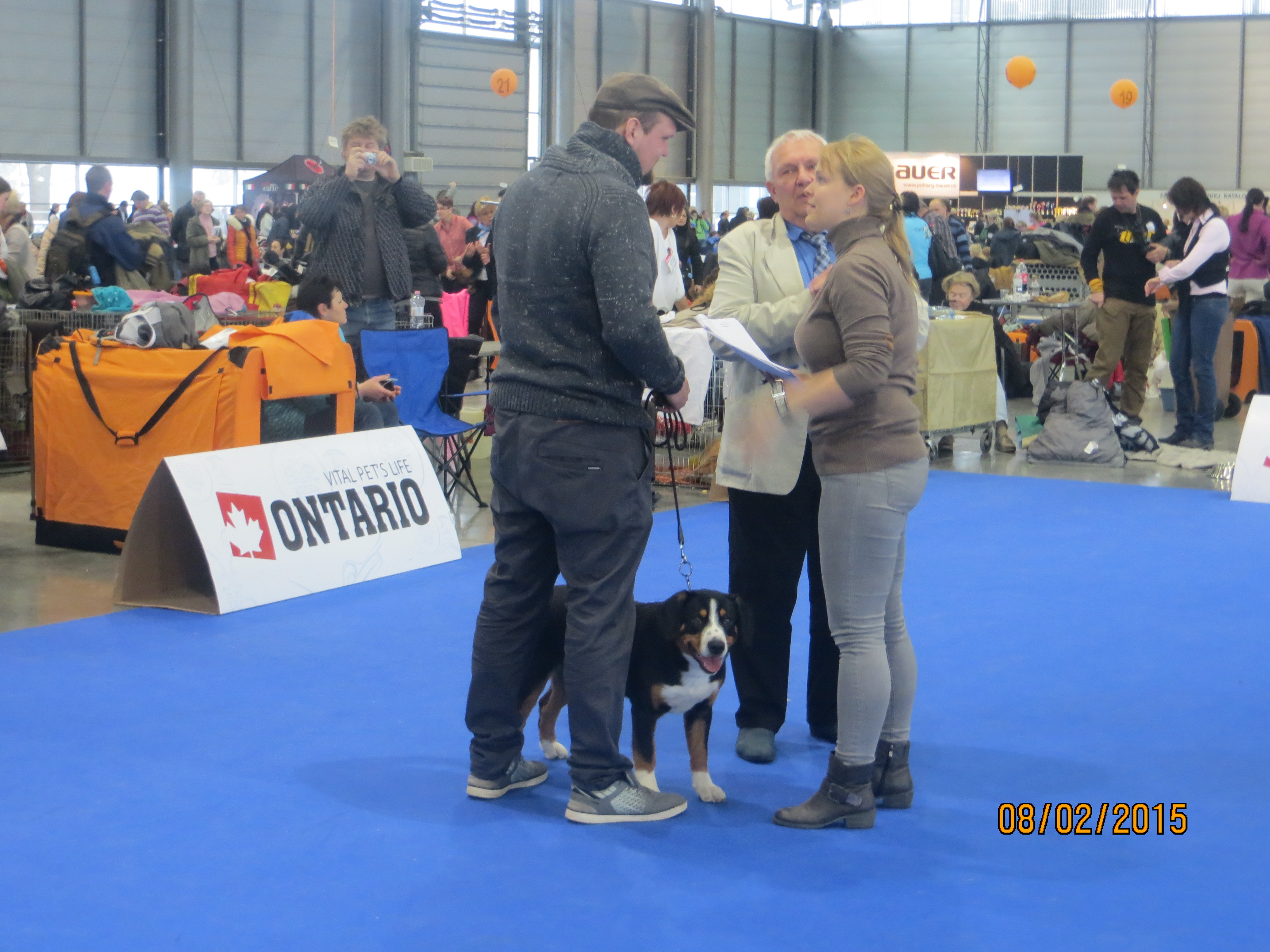 4 pochvala Lord 8.2.2014 Entlebušský salašnický pes