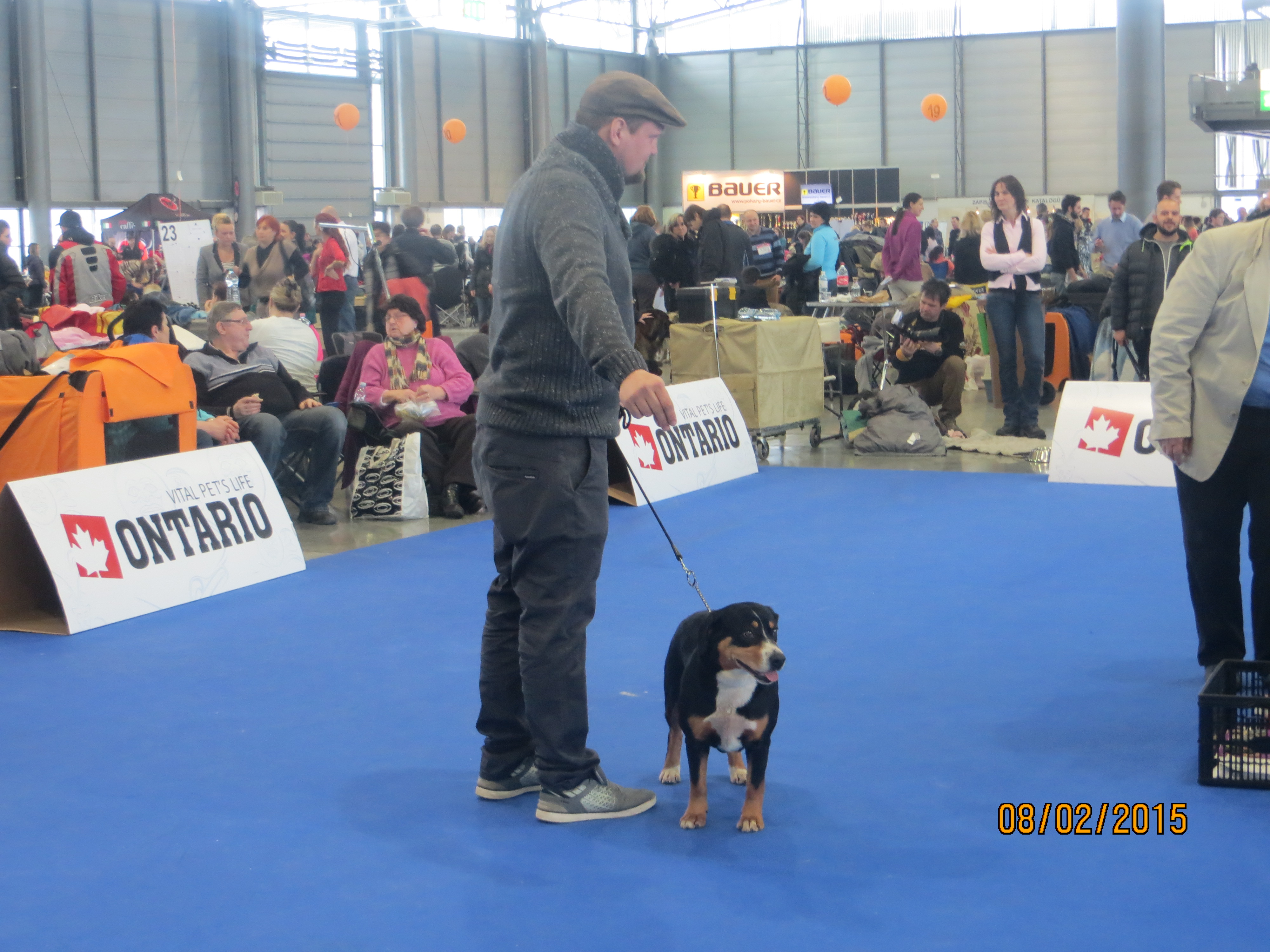 5 kyra 8.2.2014 Entlebušský salašnický pes