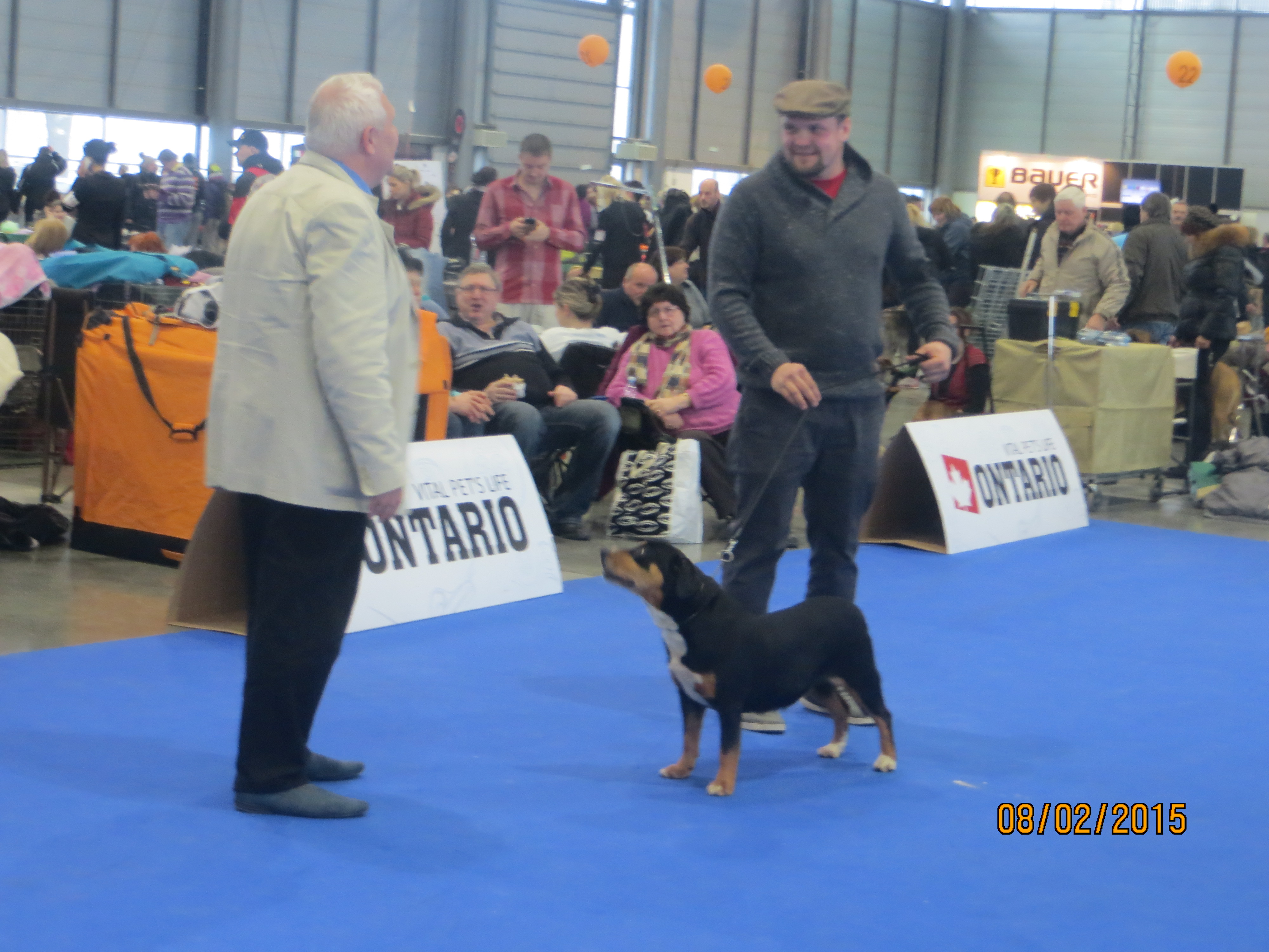 8.2.2015 kyra postoj