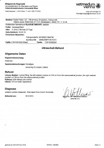 Ectopic ureter Blackie Sweape11062015