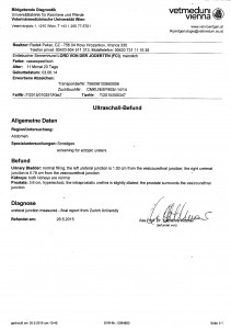 Ectopic ureter Lord von der Joderten11062015