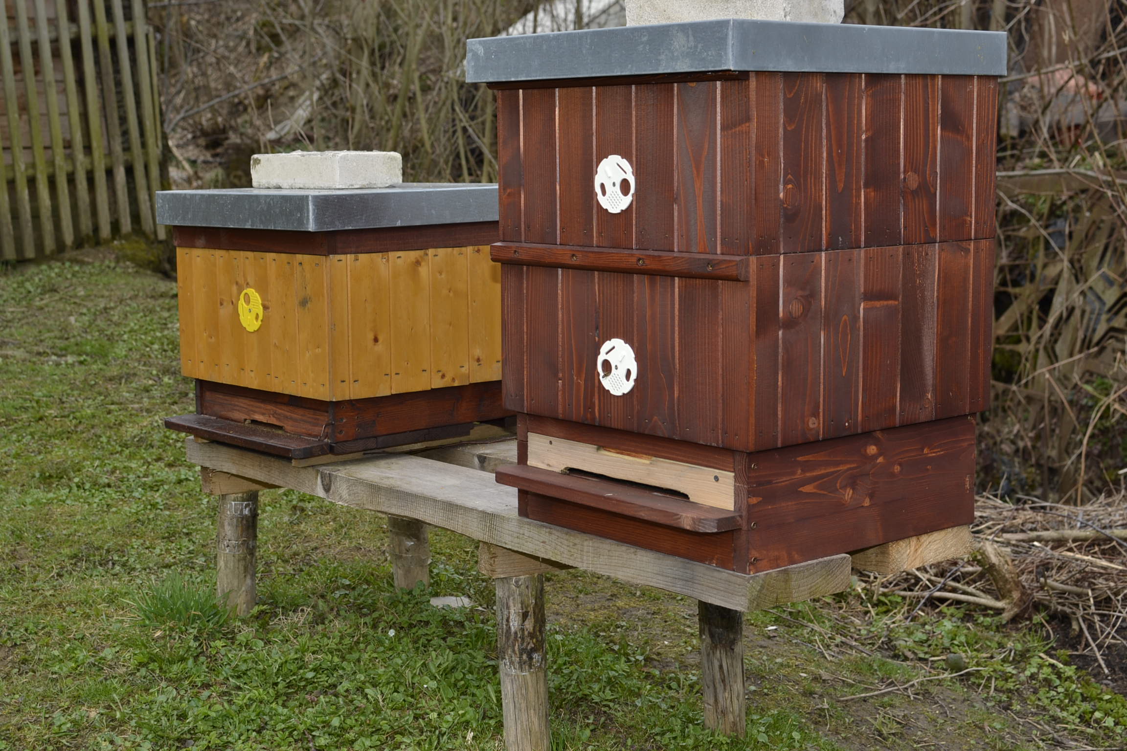 Včelky 2 12.4.2015 Včelky 2 12.4.2015